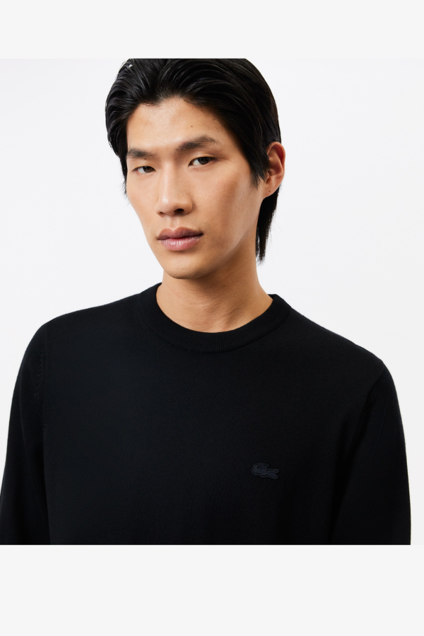 Ανδρικό Crew Neck Πουλόβερ από Μαλλί Merino